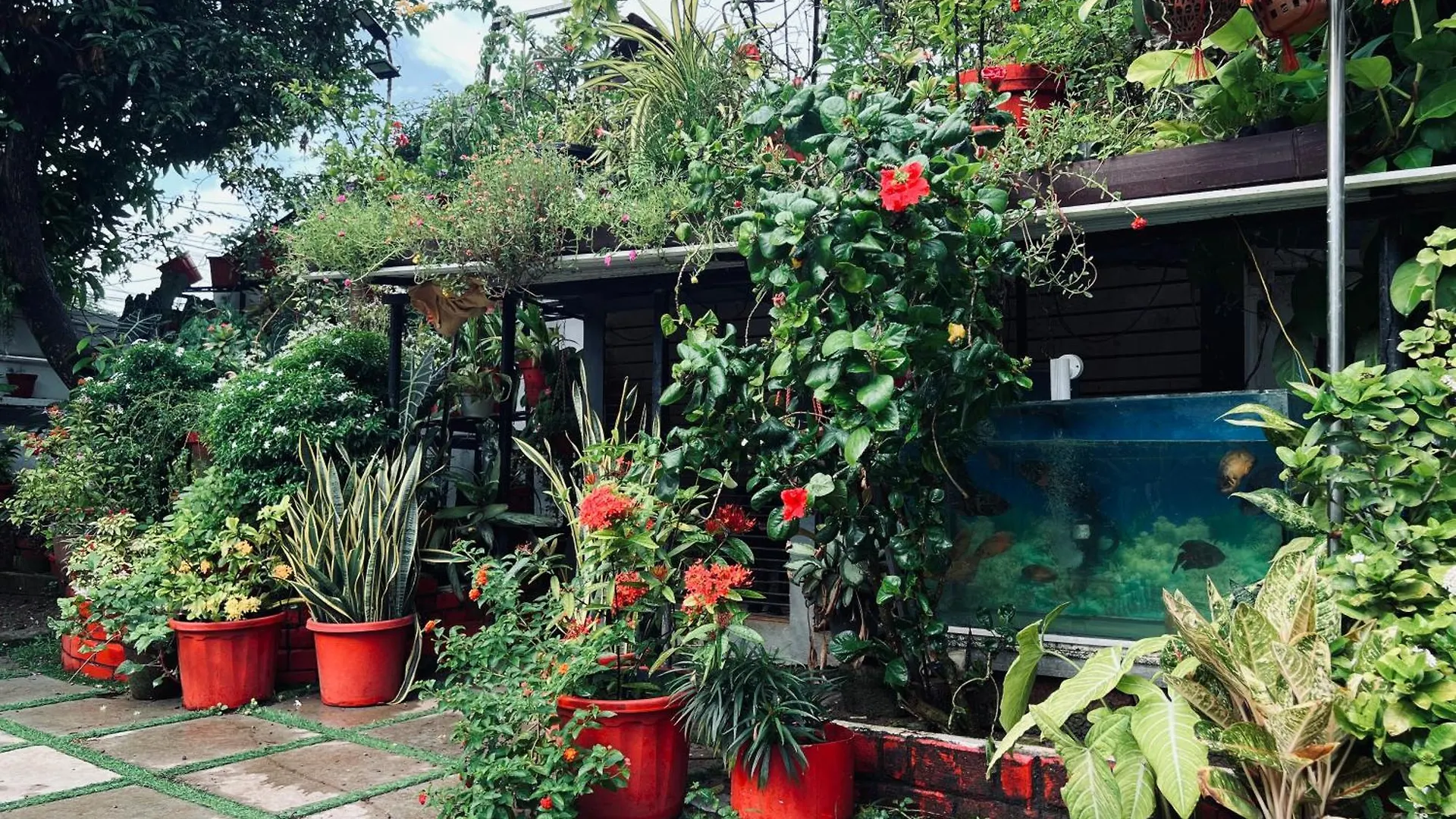 Nocleg ze śniadaniem The Bougainvilla Homestay Kochi
