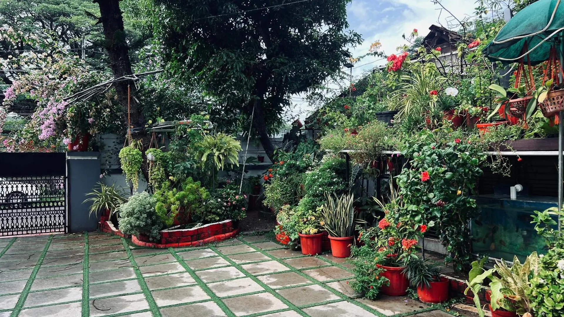 The Bougainvilla Homestay Kochi Indie