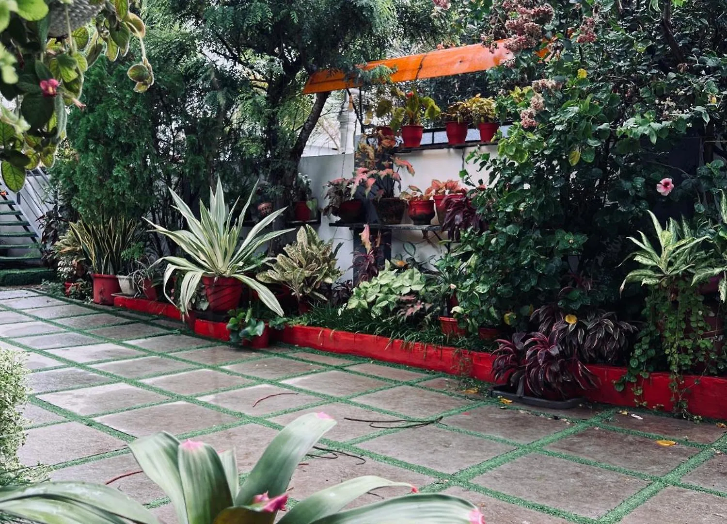 The Bougainvilla Homestay Kochi